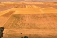 Tarladan TARSİM'e 15 gün mühlet: Yoksa seneye yarı yarıya düşecek