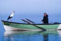 Yaren Leylek’in yavrularından biri Mısır’da, diğeri Batı Şeria’da