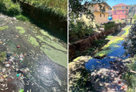 Mollabey Deresi çöplerle doldu, köylüler tepkili