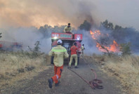 Bursa'da orman yangını