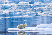 Buzullar erirse Avrupa donar: Geri dönülmez noktaya yaklaştık