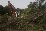 Sadece o sırada orada bulunuyordu: Öldü