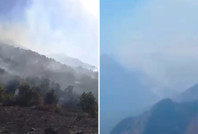 Hakkari Yüksekova'da orman yangını