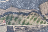 Her yer kül oldu, bir tek onun bahçesi kurtuldu