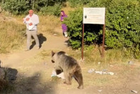 Kucağında bebekle ayı saldırısına uğradı