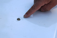 Çocuklar az kalsın ölüyordu