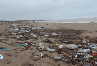 Karadeniz'de plajların yüzde 90'ı kirli