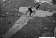 Milyonlarca kilometre öteden gelen 'hazine'