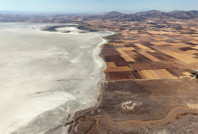 Flamingo cennetinde hayat bitti