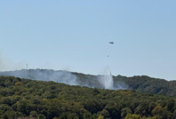 Sarıyer'de orman yangını