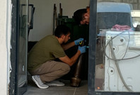 Apartmandan top mermisi çıktı