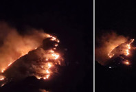 Marmara Adası'nda orman yangını