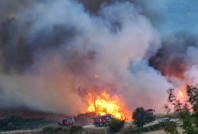 Susurluk’ta orman yangını