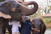 Ülkenin en zengin ailesinin vakfına 'hayvan istismarı' davası