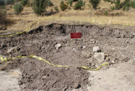 'Hışıldak' iki kişiyi öldürdü: 'Sağlık arayan canından oluyor'