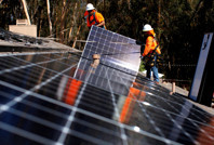 Güneş ve rüzgara Trump freni