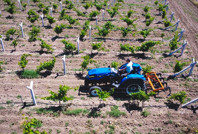 Son rakamı verdiler: 40 TL'nin altında bir fiyatı kabul etmiyoruz