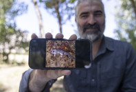 Munzur Dağları'nda bulundu: Anadolu Kayalık Yediuyuru