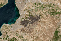 Türkiye'deki orman yangınlarını incelediler: Korkutan sonuç