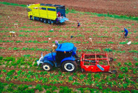 Sattıkları fiyatla raflardaki etiketleri karşılaştırdı: Yüzde 300 fark var