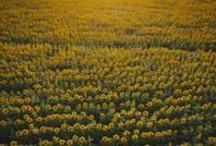 Son tarihi hatırlatıp uyardı: Bizi daha tehlikeli günler bekliyor