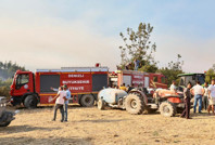 Pamukkale yangınında 3 gözaltı