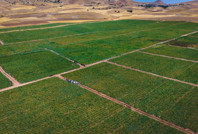 Vatandaşa seslendi: Dışarıda 25 TL'ye alıyorsunuz, bizde 8 TL