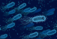 E.coli salgını 8 kişiyi öldürdü