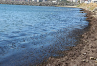 Poyraz fırtınası sonrası sahil kırmızıya büründü