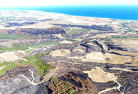 Tekirdağ Şarköy’de orman yangını sonrası temizlik başladı