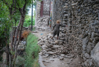 Afganistan'da deprem faciası: Ölü sayısı 1400'ü aştı