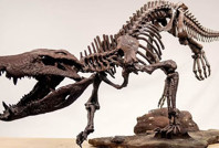 Çarpıcı keşif: Öyle güçlüydü ki dinozorları bile yiyordu