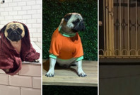 Alf öldü, hukuk savaşı başladı