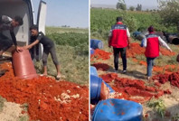Yemeğin salçalısı derken, salçanın posalısı çıktı: 36 ton sahte ürün ele geçirildi