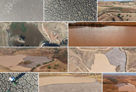 Tamamen kurumuştu, yeniden hayat buldu