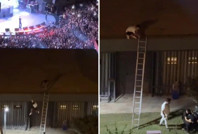 Konserdeki skandal müdahalede tutuklama kararı