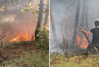 Karabük'te orman yangını
