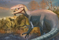 Avını yerken fosilleşmiş