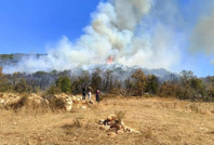 Muğla'da orman yangını