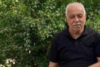 Ceviz toplarken ağaçtan düşen muhtar öldü