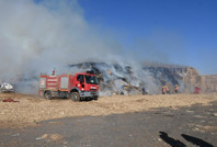 Mardin'de tarım deposunda yangın: Tonlarca mısır küle döndü