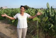 İşe başlarken alay konusu oldular, şimdi tamamını yurt dışına veriyorlar