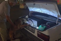 Ucuza bulunca almış: Hoparlörden 2 bine yakın uyuşturucu hap çıktı