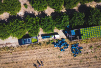 Geçen sene bahçede 1 TL'ydi, bu yıl 20 TL