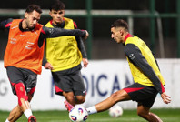 A Milli Takım'da Bulgaristan ve Gürcistan hazırlıkları başladı