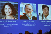 Bağışıklık sisteminin sırrını çözdüler: Nobel Tıp Ödülü'nü aldılar