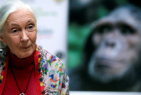 Ölümünden sonra yayınlandı: 'Trump ve Netanyahu'yu uzaya tek yönlü fırlatırdım'