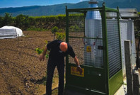 Adana'da yeni yasak: Hiçbir bilimsel açıklaması yok ama...