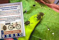 İlçe tarım çocukları sahaya sürdü: Ölü veya diri fark etmez, getirin