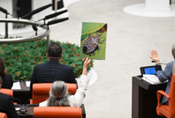 Tepki büyüdü: Sayın Bakan sen hiç eline kokarca aldın mı?